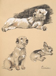 Terriërs, 1930, Illustraties uit zijn schetsboek gebruikt voor 